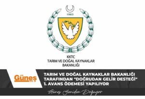 Read more about the article Tarım ve Doğal Kaynaklar Bakanlığı tarafından “Doğrudan Gelir Desteği” 1. avans ödemesi yapılıyor