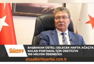 Read more about the article BAŞBAKAN ÜSTEL: GELECEK HAFTA AĞAÇTA KALAN PORTAKAL İÇİN ÜRETİCİYE 160 MİLYON ÖDENECEK